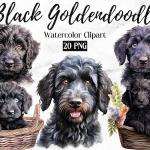 Black Labradoodle Clipart | Dog PNG | Black Goldendoodle | Black Doodle | Dog Clipart | Dog Watercolor | Puppy Images | Goldendoodle Art