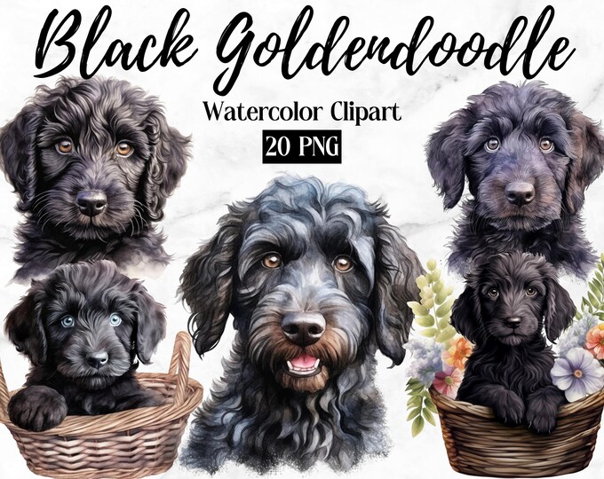 Black Labradoodle Clipart | Dog PNG | Black Goldendoodle | Black Doodle ...