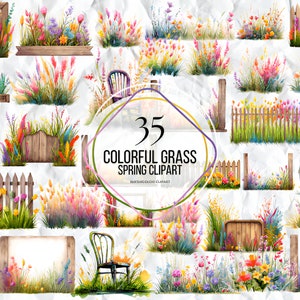 Clipart aquarelle herbe colorée, bordures d'herbe botanique, graphiques de touffes d'herbe et illustrations de pierre en PNG et SVG pour un usage commercial