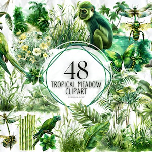 Aquarela Folhas Tropicais Prado PNG Clipart Folhas SVG Folhas Da Selva PNG Festa Tropical Palmeira Monstera Clipart Verdura Uso Comercial