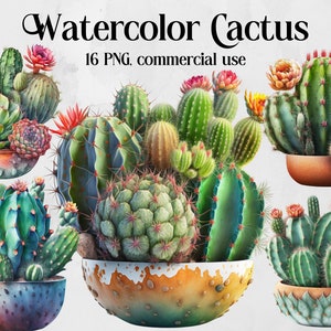 Watercolor Cactus Clipart - desert cacti PNG format instant download for commercial use,  beautiful cactus digital clipart bundle