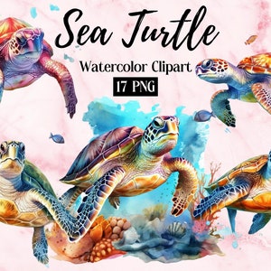 Sea Turtle PNG | Watercolor Sea Turtle Clipart | Sea Animals PNG | Cute Sea Turtle | Ocean Animals | Sea Turtle Wall Art, Nautical Clipart