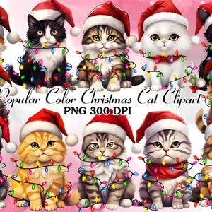 12 Christmas Cats Clipart, PNGs,Digital Download, Commercial Use, Mixed Media, Digital Paper Craft, Watercolor clipart, Kitten JPG