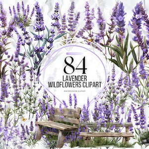 Pacote de clipart de flores silvestres de lavanda em aquarela - casamento floral da primavera em formato PNG download instantâneo para uso comercial
