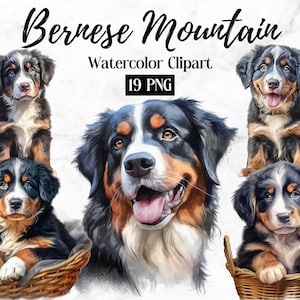Bernese Mountain Dog Clipart - 19 High Quality PNGs- Digital Download - Card Making, Clip Art, Digital Paper Craft, Dog Lovers Digital Arts