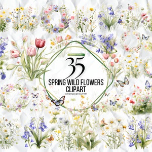 Acuarela primavera flores silvestres jardines clipart, ilustraciones de jardín de primavera, imágenes prediseñadas de jardín pintado, 40 gráficos PNG, descarga instantánea