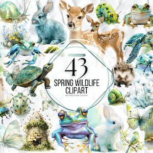 Aquarel dieren clipart | Panda, vos, olifant, ijsbeer, luiaard, egel, nijlpaardillustraties | Direct downloaden voor commercieel gebruik