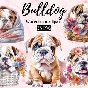 English Bulldog PNG | Bulldog Puppy PNG | Cute Dog Clipart | Dog PNG | Dog Portrait | Watercolor Clipart | Puppy Dog Lovers images Printable
