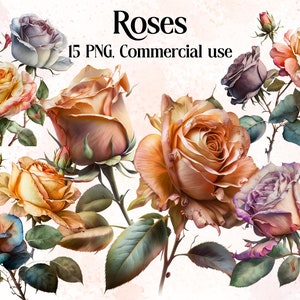 Watercolour Roses Digital clipart bundle, pink, red roses, floral clipart, wild flower clipart, instant download, Flowers Roses Floral PNG