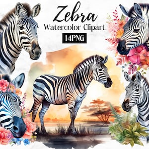 Zebra Clipart - 14 High Quality PNGs- Digital Paper Crafting, Journaling, Mugs, Apparel, Wall Art, Invitations - Instant Digital Download