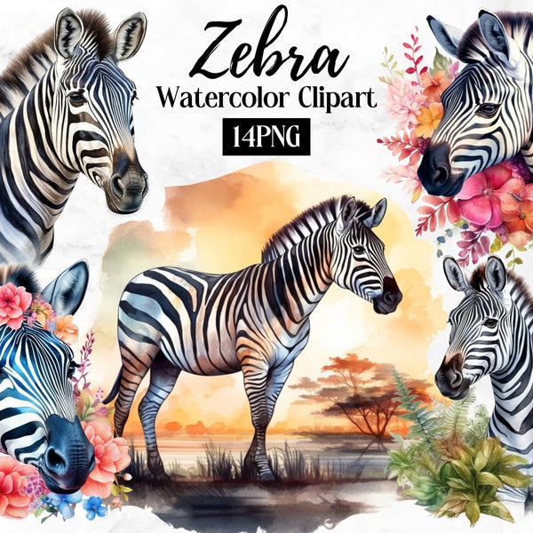Zebra Clipart - 14 High Quality PNGs- Digital Paper Crafting, Journaling, Mugs, Apparel, Wall Art, Invitations - Instant Digital Download