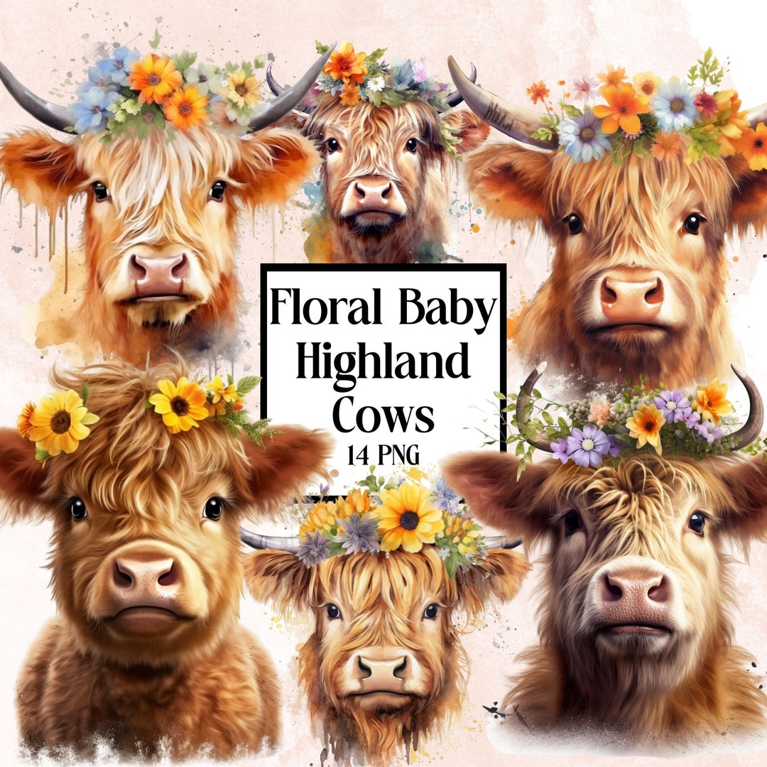 Floral Baby Highland Cow Highland Cow Baby Highland Cow Nursery Cow