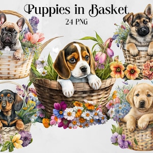Watercolor Puppies in Basket ClipArt, Animal PNG, Cute Floral Dog Clipart Bundle, Dog PNG, Instant Digital Download, Dog Lovers Gift Clipart