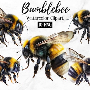 Bumblebee Clipart - 10 High Quality PNGs - Digital Download - Card Making, Mixed Media, Digital Paper Craft