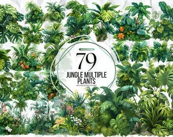 Watercolor Jungle Multiple Plants PNG Clipart Leaves Jungle Leaves PNG Tropical Party Palm Tree Monstera Clipart Greenery Commercial Use
