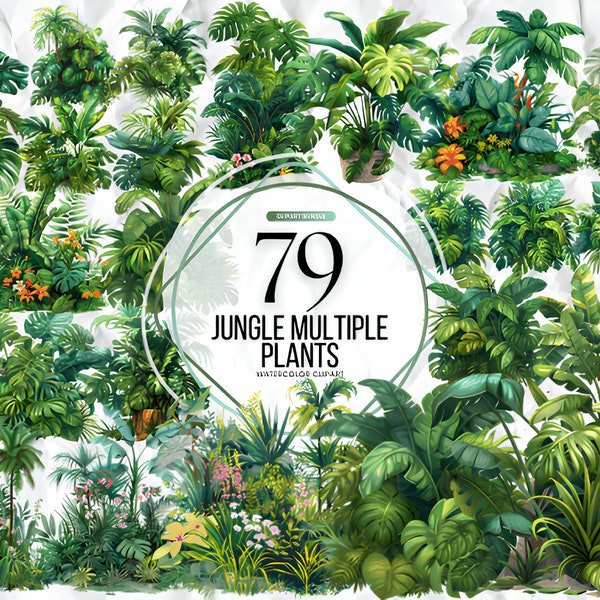 Watercolor Jungle Multiple Plants PNG Clipart Leaves Jungle Leaves PNG Tropical Party Palm Tree Monstera Clipart Greenery Commercial Use