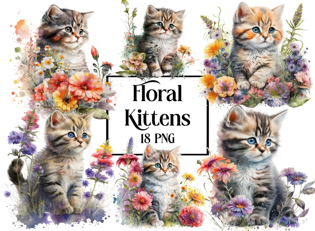 Watercolor Kitten Clipart, Animal PNG, Cute Floral Cat Clipart Bundle ...