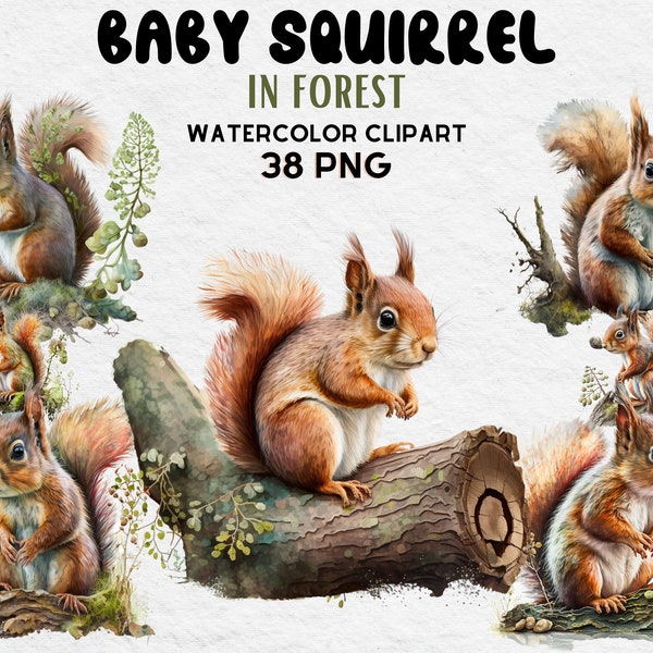 Cute Baby Squirrel In Forest Clipart, High Quality PNGs, Digital Planner, Junk Journals, Watercolor - Commercial Use - Digital Download