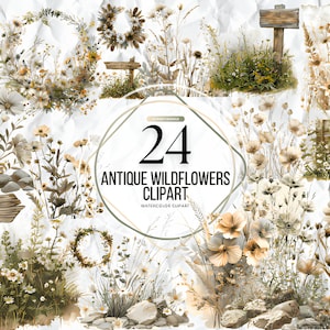 Antieke wilde bloemen clipart PNG, zomer bloemen natuurafbeeldingen, wilde bloemen voor afdrukken, collage, plakboek, junk journal enz. Gratis commercieel gebruik