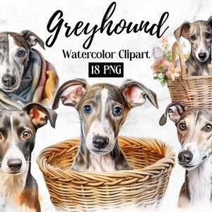 Greyhound Clipart Bundle - 18 High Quality PNG&JPG 300DPI - Digital Download - Clip Art, Card Making, Digital Paper Craft, Commercial USE