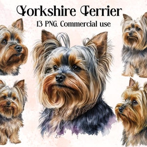 Yorkshire Terrier Clipart Images, High Resolution PNG Illustrations Watercolor Yorkie Clipart Printable Wall Art Yorkie Puppy Pet Portrait