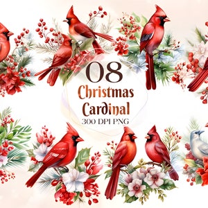8 Christmas Red Cardinal Clipart PNG, Watercolor clipart PNG, bird clipart, PNG, Watercolor, Commercial Use,Digital Download