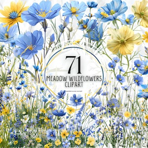 71 clipart de prado de flores silvestres PNG, imagens de natureza floral de verão, flores silvestres para impressão, colagem, álbum de recortes, diário de lixo, etc. Uso comercial gratuito