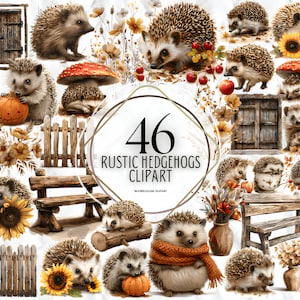 Bundle de cliparts hérisson rustique aquarelle, hérisson mignon rustique PNG, clipart bébé hérisson, téléchargement numérique hérisson, usage Commercial