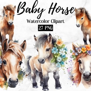 Baby Horse PNG | Horse Clipart | Watercolor Horse | Baby Animals | Western Clipart | Farm Animals PNG | Cute Horses Images