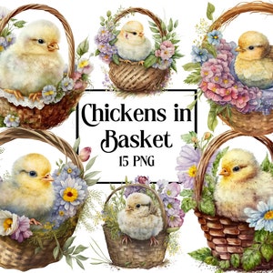 Chicken Basket ClipArt, Watercolor Chicken PNG, Romantic Flower Basket Clipart, Easter PNG, Commercial Use, Instant Digital Download