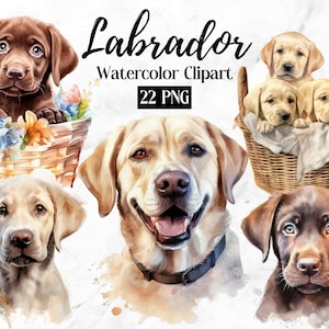 Labrador Retriever Puppies Clipart Collection | Black Lab PNG | Black Labrador Dog Lovers Clipart, Cute Dog Clipart | Dog PNG | Dog Portrait