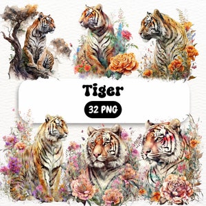 Tiger Clipart - High Quality PNGs - Digital Download - Card Making, Clip Art, Digital Paper Craft, Wild Safari Animals Tiger Lion Clipart