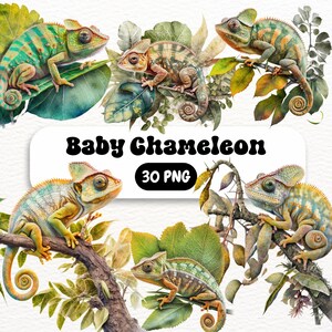 Watercolor Chameleon Clipart, lizard colorful tropical nature reptile digital product art, JPG format instant download for commercial use