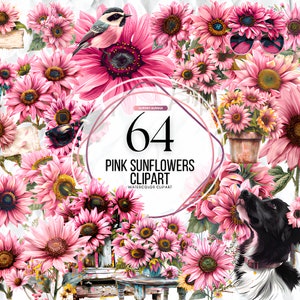 Clipart de girassol rosa aquarela, pacote png de girassol rosa, clipart de flores silvestres, moldura de boquet de girassol, pacote png rústico, casa de fazenda png