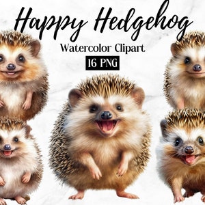 Happy Hedgehog Clipart - 16 High Quality PNGs - Digital Download - Card Making, Mixed Media, Digital Paper Craft, Cute Animals Lovers Art