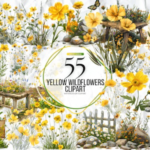 Clipart de flores silvestres em aquarela, flores silvestres amarelas, aquarela de dente de leão, clipart de verão, Elementos decorativos para download instantâneo PNG