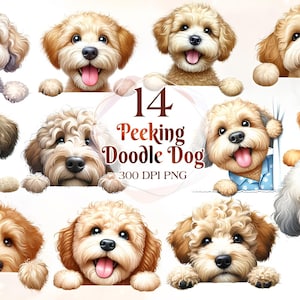 Peeking Doogle Dogs Clipart | Peeking Dogs Clip Art | Dog Illustrations|Labradoodle|Cockapoo|Cavapoo|Maltipoo|Bernedoodle|Yorkipoo|Schnoodle