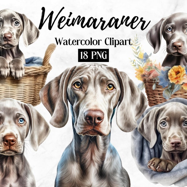 Weimaraner Clipart | Dog PNG | Watercolor Dog Clipart | Dog Lovers Digital Portrait Clipart,Weimaraner Dog | Puppy Images | Nursery Wall Art