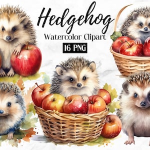 Cute Hedgehog Clipart | Watercolor Hedgehog PNG | Nursery Wall Art | Animal Clipart | Kawaii Clipart | Cute Hedgehog Digital Printable Art