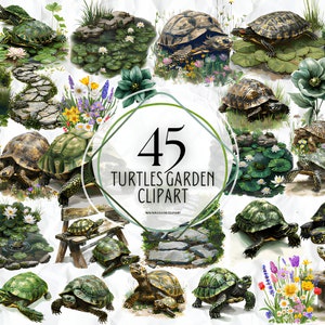 Tortuga Tortuga Jardín Clipart, Tortuga Clipart, Imágenes Prediseñadas de acuarela imprimible, JPG de alta calidad, Descarga digital, Artesanía de papel, diario basura