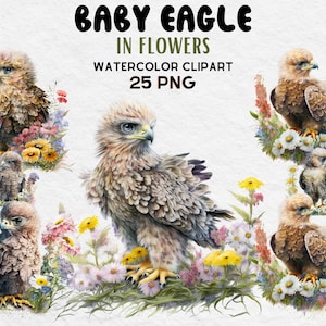 Cute Baby Eagle In Flowers Clipart, Watercolor Eagle Clipart bundle, Eagle PNG, Eagle SVG, Cute Eagle Lovers Gift Digital Clipart,Baby Eagle
