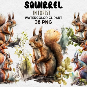 Squirrel In Forest  Watercolor Clipart, Birthday Party Decor Graphics, Cute Baby Shower Graphics, Nursery Decor Wall Art, Woodland Animal