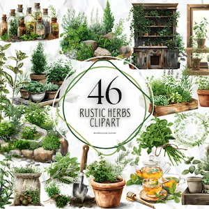Clipart de ervas rústicas em aquarela - Download de ervas de jardim - Download instantâneo - Manjericão - Alecrim - Tomilho - Coentro - Salsa - Endro - Cebolinha