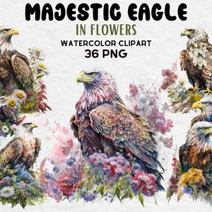 Majestic Eagle in Flowers Clipart, Watercolor Eagle Clipart bundle, Eagle PNG SVG, Cute Eagle Lovers Gift Digital Clipart, Eagle Clipart