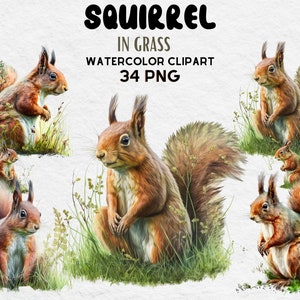 Squirrel In Grass Watercolor Clipart, Birthday Party Decor Graphics, Cute Baby Shower Graphics, Nursery Decor Wall Art, Woodland Animal