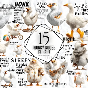 Schrullig lustige Gans Clipart - Doof Gänse Vögel, Alberne Möwen Aquarell, Junk Journal, Vögel Png, Digitaldruck, Kommerzielle Nutzung