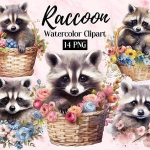 Raccoon Clipart | Watercolor Woodland Animals Clipart | Baby Animals | Cute Raccoon PNG | Junk Journal | Digital Planner | Digital Download