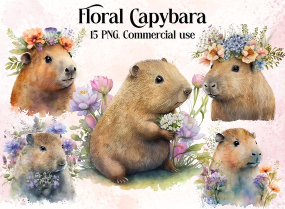 Floral Capybara ClipArt, Capybara Digital Illustration ,Digital Crafting, Paper Crafting, Watercolor Capybara Illustration, Commercial Use