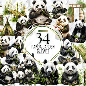 Conjunto de clipart de aquarela de panda, ilustração de panda, clipart de panda PNG, fundo transparente, clipart de aquarela de animal, download instantâneo