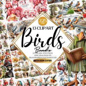 Megabundle 325 Aquarell Vögel Clipart Bundle, Frühling Vögel Clipart, Vögel Bundle, Bunte Vögel, Vögel Auf Ast Clipart, bluebird Clipart